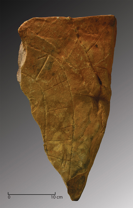 viameiro cleana imprensa