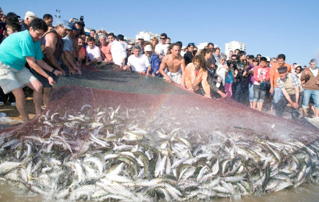 festa_do_pescador