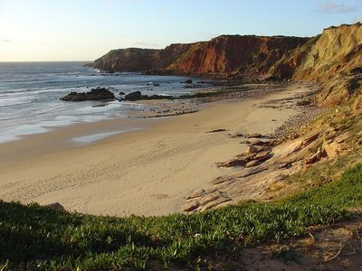 Praia do Amado - Carrapateira, Aljezur