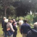 passeio1