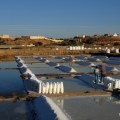 terras_de_sal_2