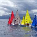 regata_2