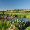 oceanico_faldo_course_slvs_1