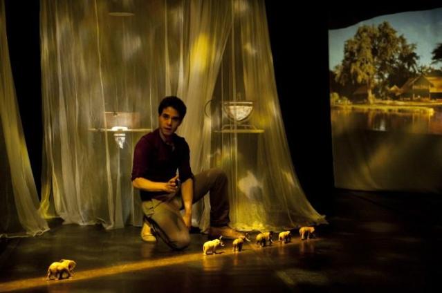 A Caminhada dos Elefantes