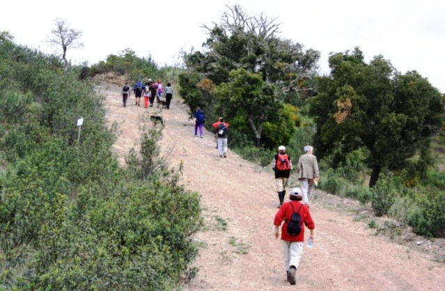 Passeios Natureza de São Brás de Alportel