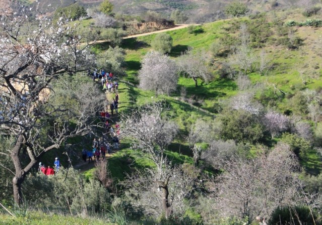 X Passeio Pedestre “Amendoeiras em Flor” de Alta Mora