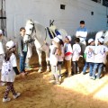 ferias_cavalos_9