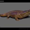 metoposaurus_algarviensis_1
