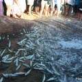 petiscos_do_pescador_dia2_77