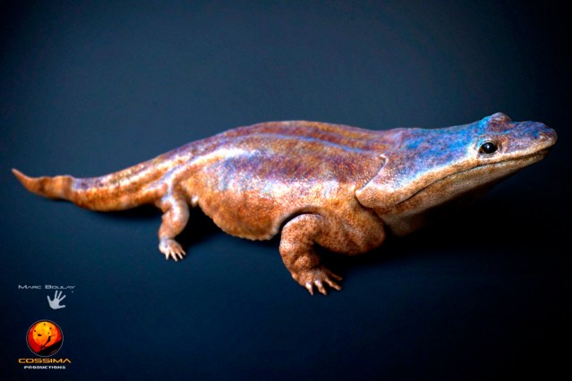 Metoposaurus algarvensis