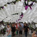 festas_do_povo_89