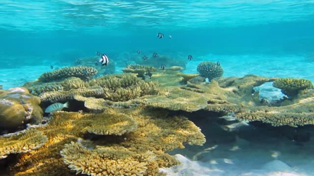 “Oceanus” de Libéria Matos