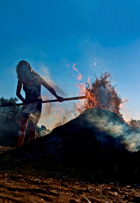 Projeto Alquimias - foto Ricardo Soares