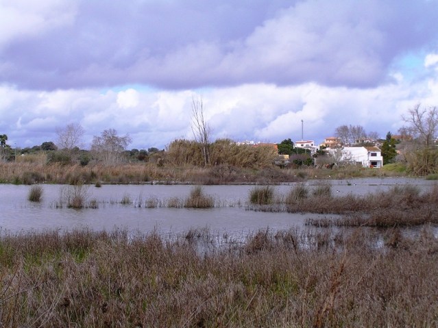 Alagoas Brancas - Lagoa