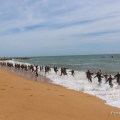triatlo2017_139