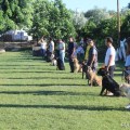 iron-dog_11