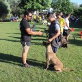 iron-dog_15