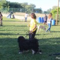 iron-dog_38