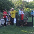 iron-dog_50