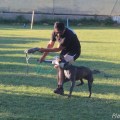 iron-dog_54