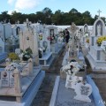 cemiterio_5